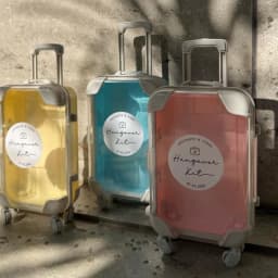 Mini Suitcase