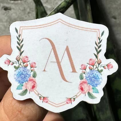 Pin Brooches